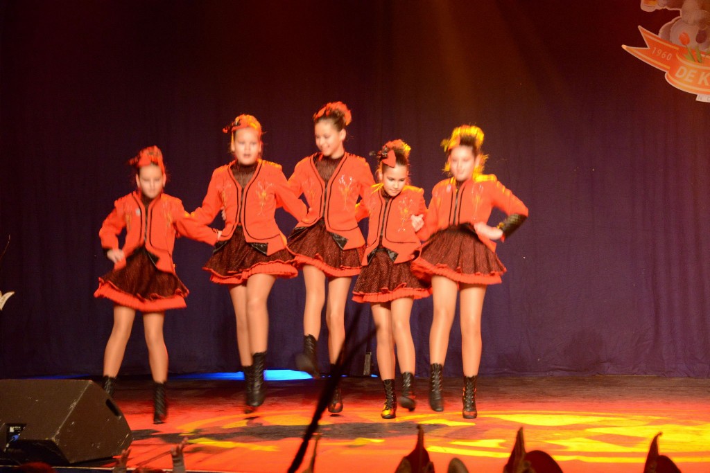 ../Images/Dansmarieke festival 2015 092.jpg